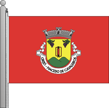 Bandeira da freguesia de Grij