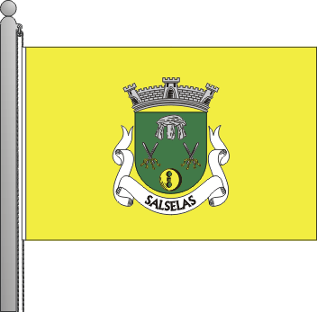 Bandeira da freguesia de Salselas