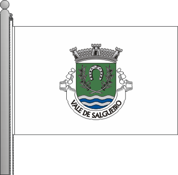 Bandeira da freguesia de Vale de Salgueiro
