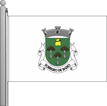 Bandeira da freguesia de Sobreiro de Baixo