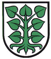 Wappen von Laupen / Arms of Laupen