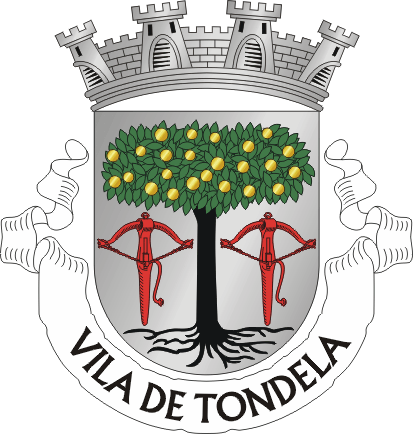 Arms of Tondela (city)