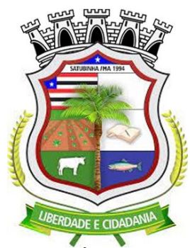 Arms (crest) of Satubinha