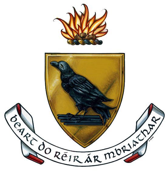 Arms (crest) of Dublin (county)