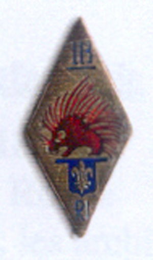 113th Infantry Regiment, French Army.jpg