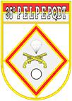 Coat of arms (crest) of the 36th Parachute Army Police Platoon, Brazilian Army