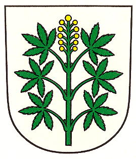 Wappen von Wangen-Brüttisellen / Arms of Wangen-Brüttisellen