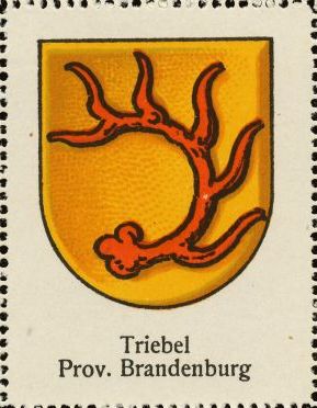 Wappen von Trzebiel/Coat of arms (crest) of Trzebiel