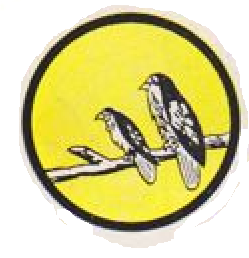 File:52nd School Squadron, USAAF.png