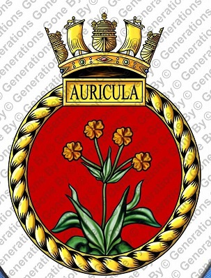 Coat of arms (crest) of the HMS Auricula, Royal Navy