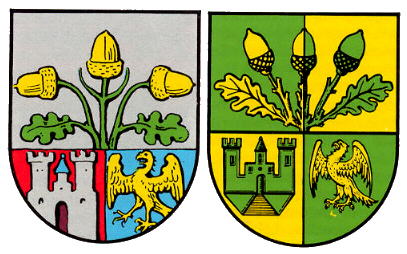 Wappen von Falkenstein (Pfalz) / Arms of Falkenstein (Pfalz)