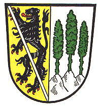 Wappen von Wallenfels / Arms of Wallenfels