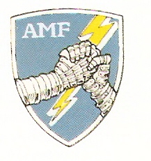 Allied Command Europe Mobile Force - Air, NATO.jpg