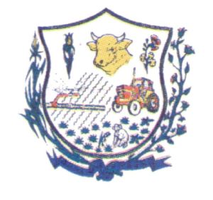 Arms (crest) of Jaíba