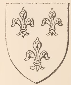 Arms of Geoffrey de Burgh