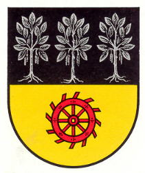 Wappen von Birkenheide / Arms of Birkenheide