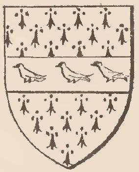 Arms of Hugh Pavy