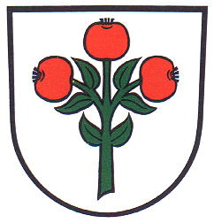 Wappen von Oberschwarzach (Schwarzach)/Arms of Oberschwarzach (Schwarzach)
