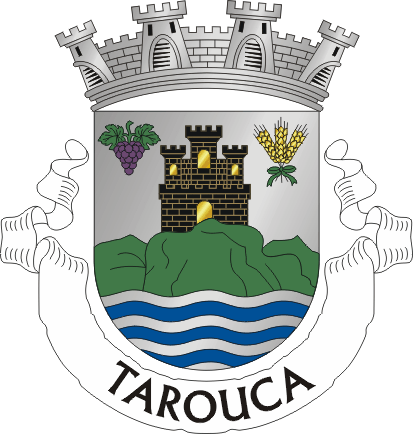 Brasão de Tarouca (city)