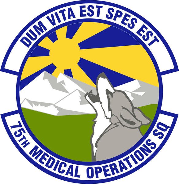 File:75th Medical Operations Squadron, US Air Force.png