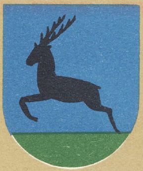 Arms of Kozienice