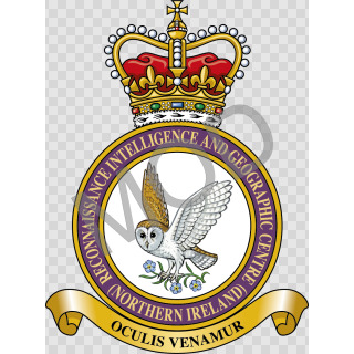 Coat of arms (crest) of the Reconnaissance Intelligence and Geographic Centre (Northern Ireland), United Kingdom