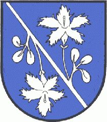 Wappen von Pichl-Kainisch/Arms of Pichl-Kainisch