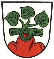 Wappen von Rotenburg an der Fulda/Arms of Rotenburg an der Fulda