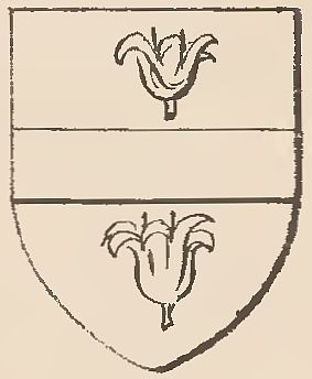 Arms of Silvestro de' Gigli