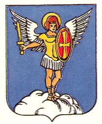 Coat of arms (crest) of Skole