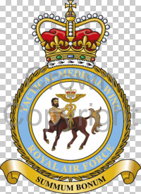 File:Tactical Medical Wing, Royal Air Force.jpg