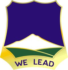 File:382nd (Infantry) Regiment, US Armydui.png