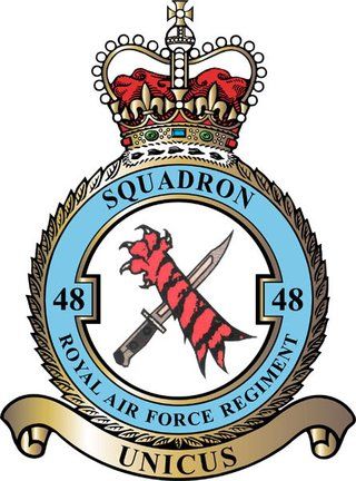 File:No 48 Squadron, Royal Air Force Regimnet.jpg