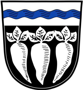 Wappen von Pfatter / Arms of Pfatter