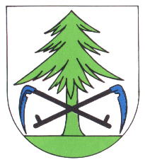 Wappen von Binzgen / Arms of Binzgen