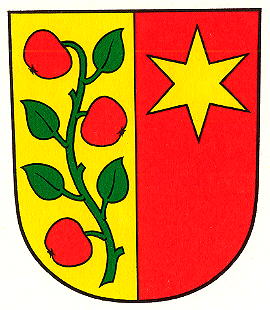 Wappen von Affoltern / Arms of Affoltern