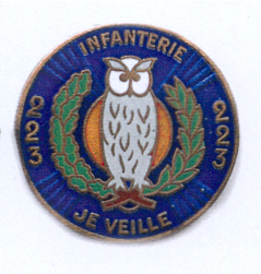 File:223rd Infantry Regiment, French Army.jpg