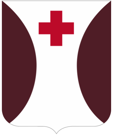 File:70th Medical Battalion, US Army.png