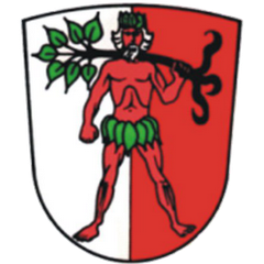 Wappen von Schretzheim/Arms of Schretzheim