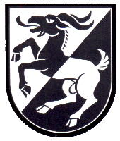 Wappen von Wilderswil/Arms of Wilderswil