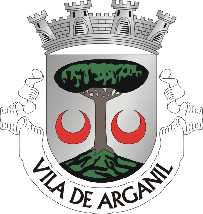 Brasão de Arganil (city)