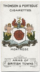 File:Montrose.thp.jpg