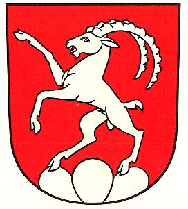 Wappen von Steinmaur