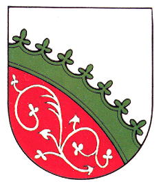 Arms of Nová Paka