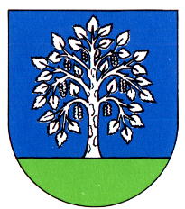 Wappen von Birkendorf/Arms of Birkendorf