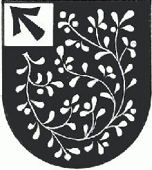 Wappen von Strallegg/Arms of Strallegg