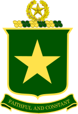 File:39th Composite Regiment, Texas State Guard.png