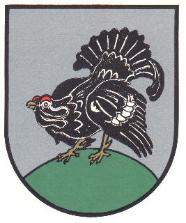 Wappen von Hahnenknoop / Arms of Hahnenknoop