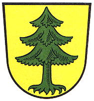 Wappen von Tann (Rhön) / Arms of Tann (Rhön)