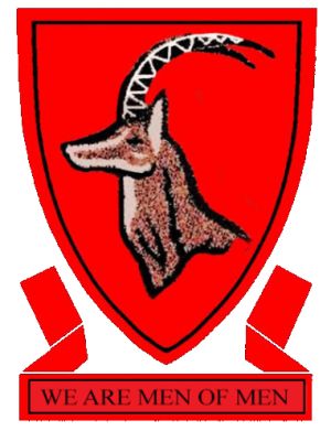 Arms (crest) of Allan Wilson High School